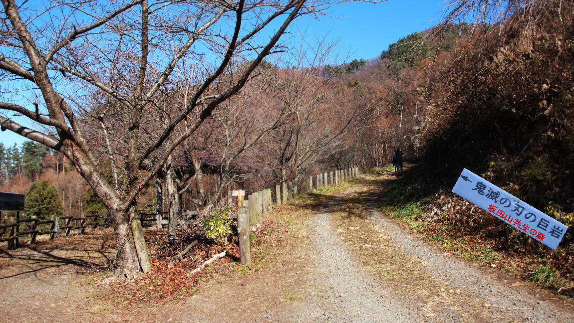 坂田山共生の森 龍の割石