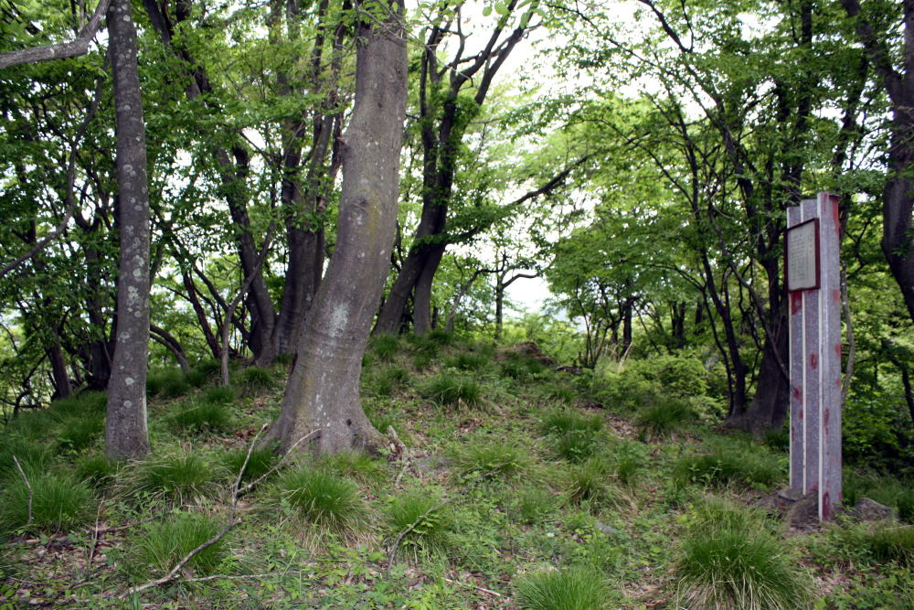 大岩城跡