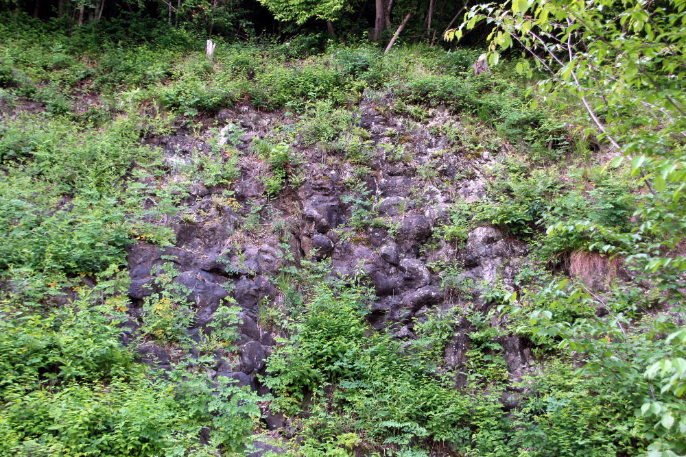 井上の枕状溶岩