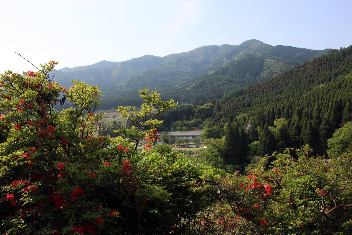 つつじ山公園