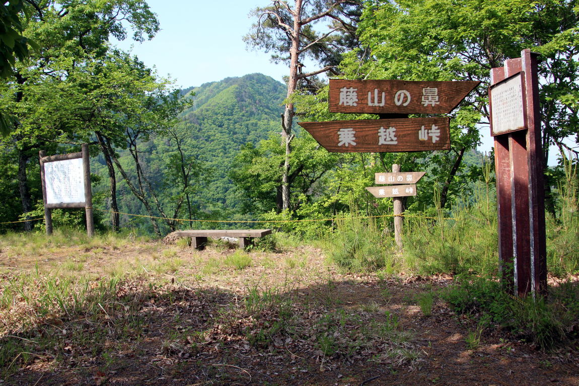 竹の城跡 竹の城山